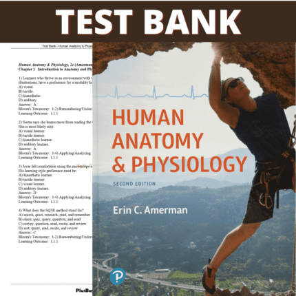 Test Bank for Human Anatomy & Physiology, 2nd Edition (Amerman, 2019)