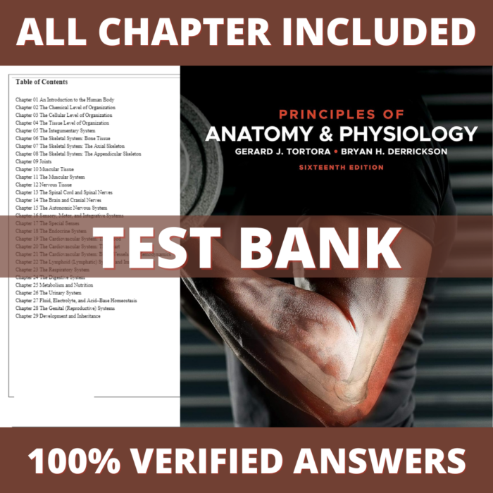 Test Bank for Principles of Anatomy and Physiology 16th Edition (Tortora, 2021)