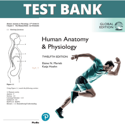 Test Bank for Human Anatomy & Physiology, 12th Global Edition (Marieb, 2023)